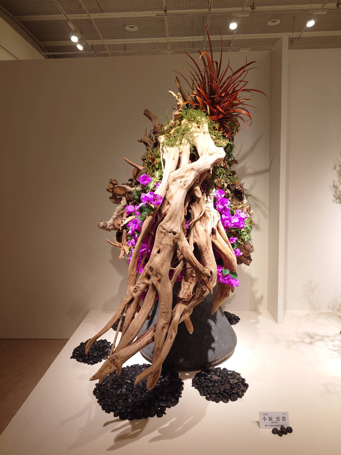 日本いけばな芸術展（2025.5.21-5.26) | いけばな小原流東京支部